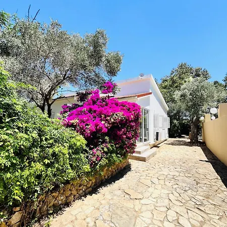 Johns Pool House Garden Villa