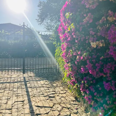 Johns Pool House Garden * Strovolos