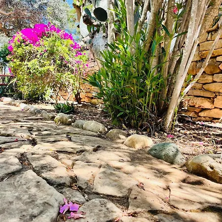 Villa Johns Pool House Garden *