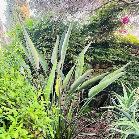 Johns Pool House Garden Vila *