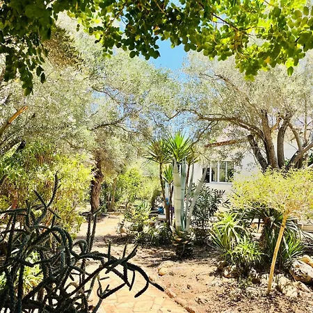 Johns Pool House Garden