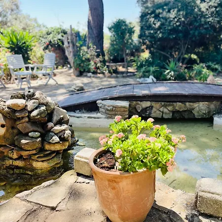Villa Johns Pool House Garden Strovolos