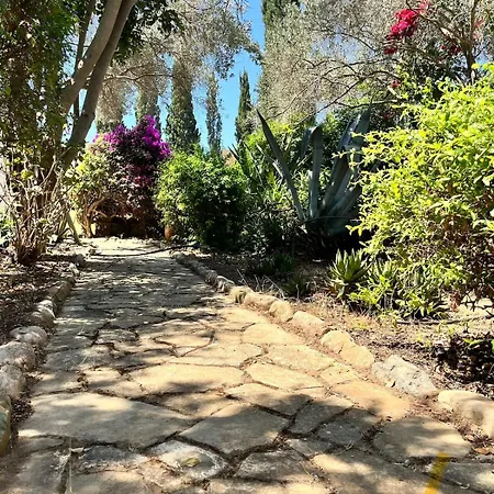 Villa Johns Pool House Garden *